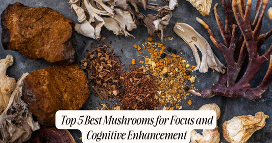 best mushroom for focus