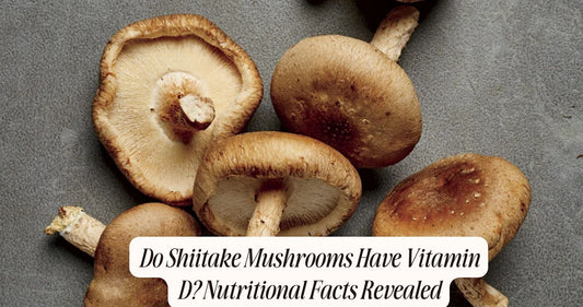 do shiitake mushrooms have vitamin d