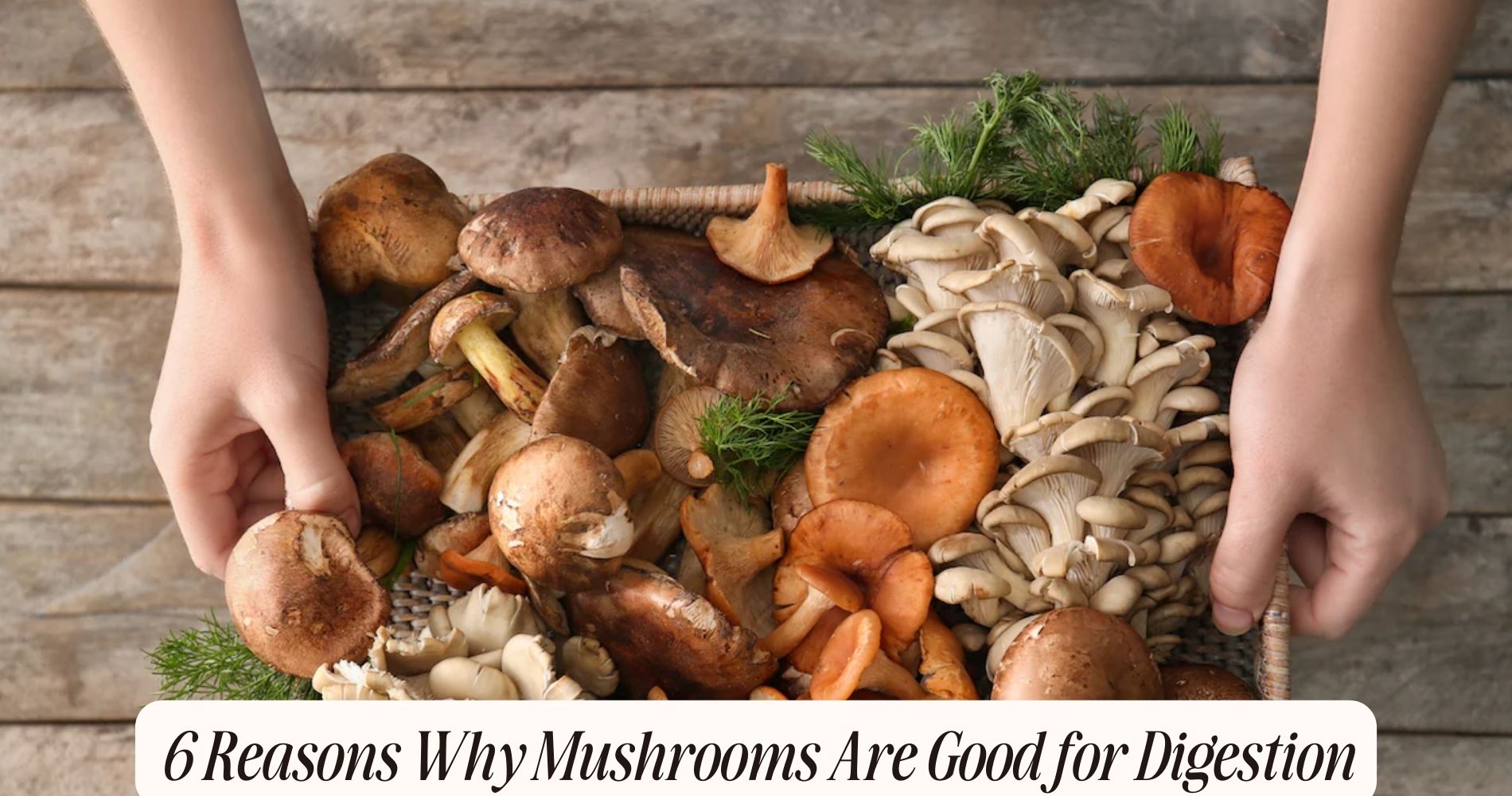 are mushrooms good for digestion