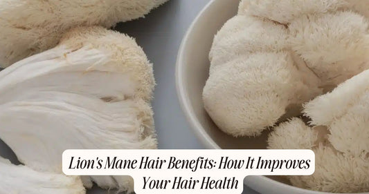 lion's mane hair benefits