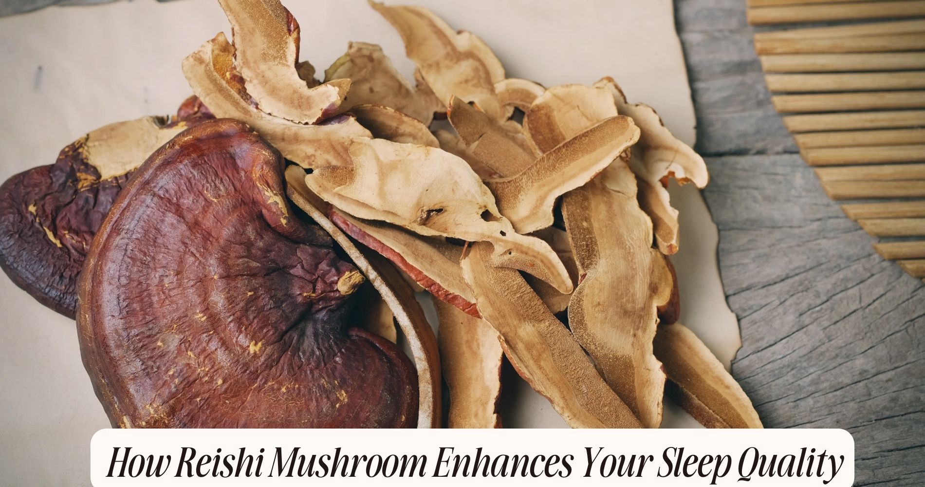 reishi mushroom for sleep
