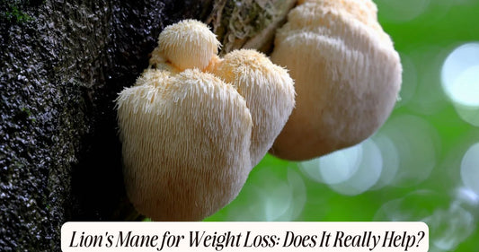 lion's mane for weight loss