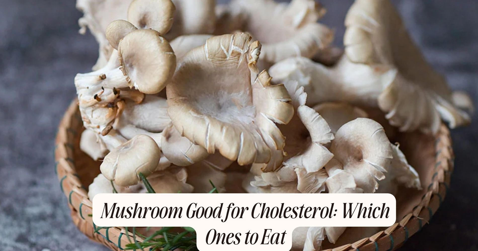 mushroom good for cholesterol