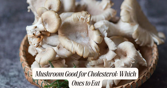 mushroom good for cholesterol