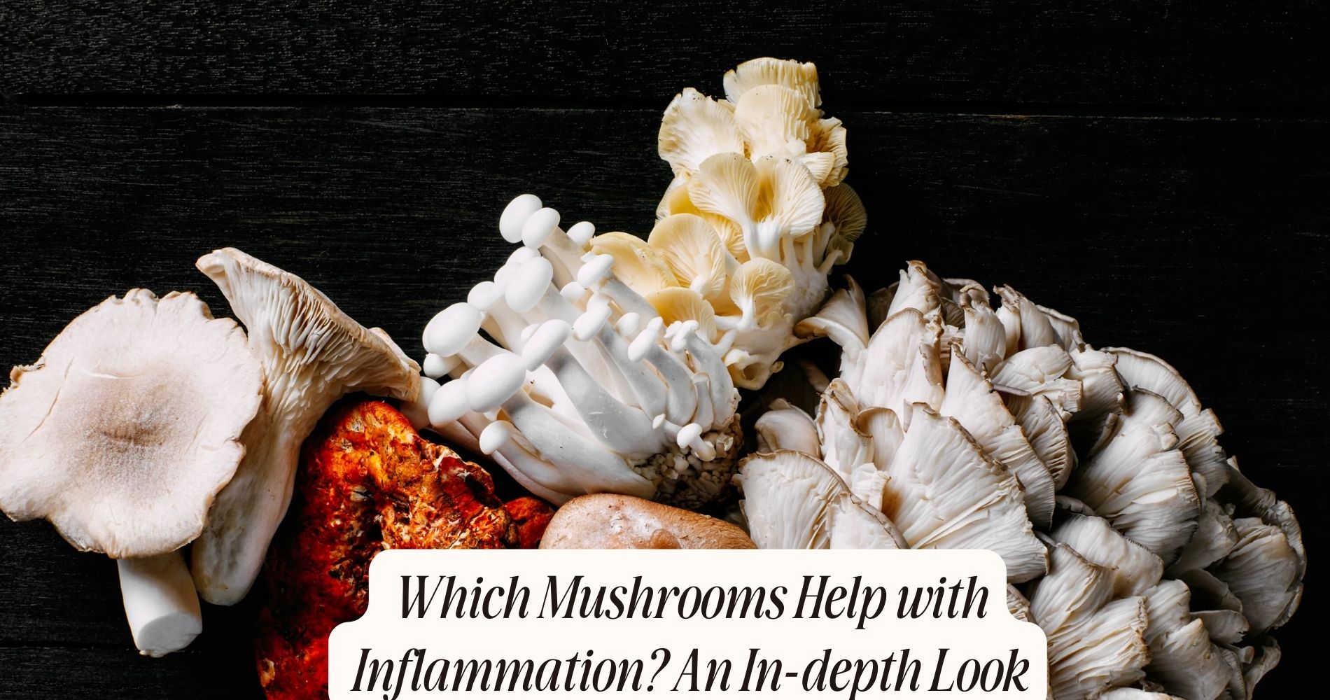 what mushrooms help with inflammation