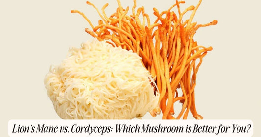 lion's mane vs cordyceps