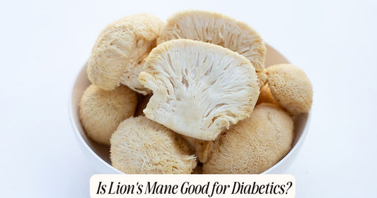 is lion's mane good for diabetics