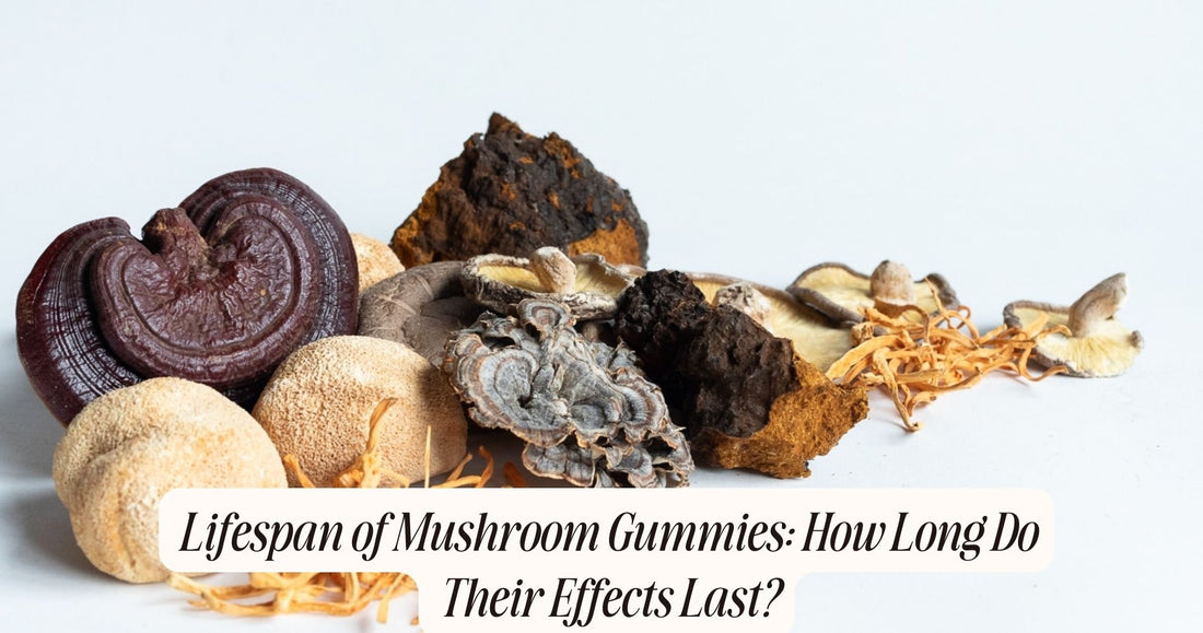 how long do mushroom gummies last