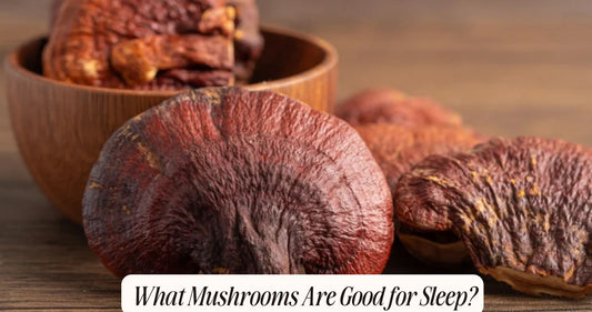 what mushrooms are good for sleep