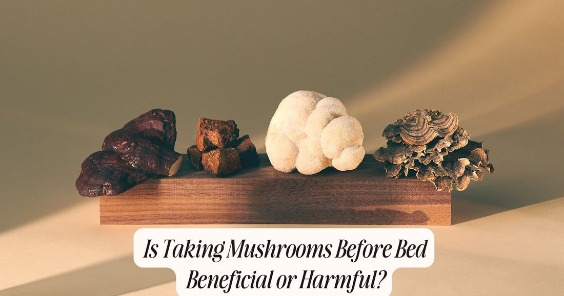 taking mushrooms before bed