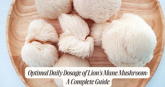 lion's mane dosage per day