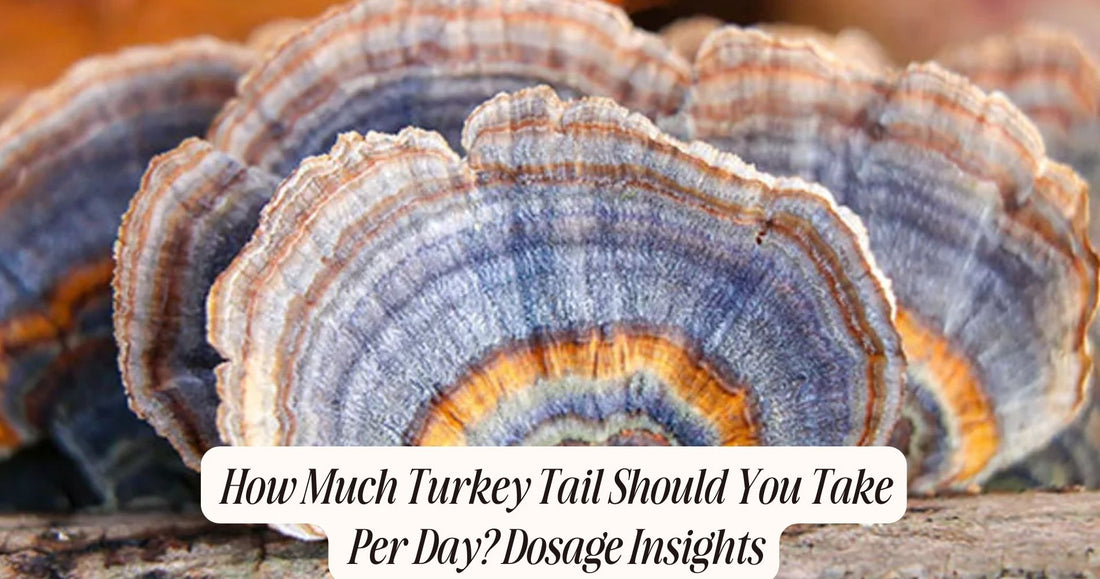 how much turkey tail per day