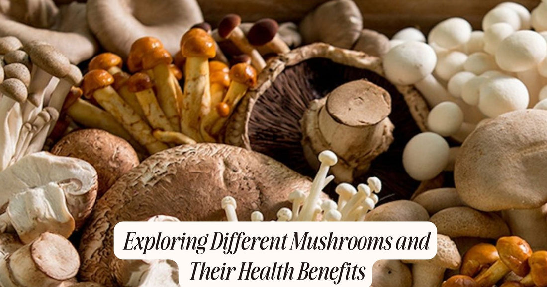 different mushrooms and their benefits