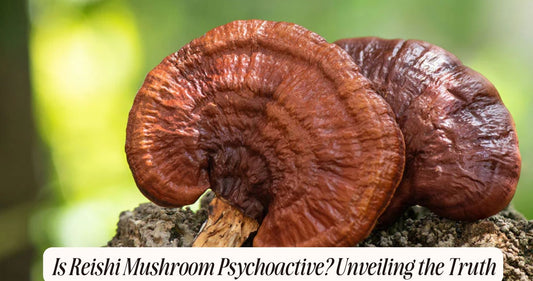 is reishi mushroom psychoactive