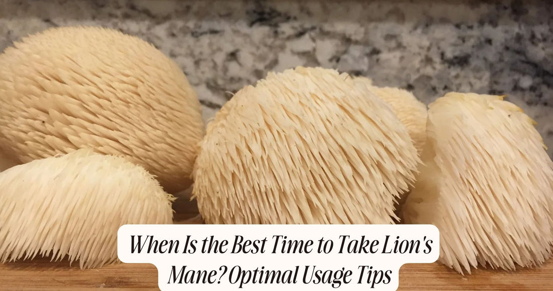 when is the best time to take lion's mane