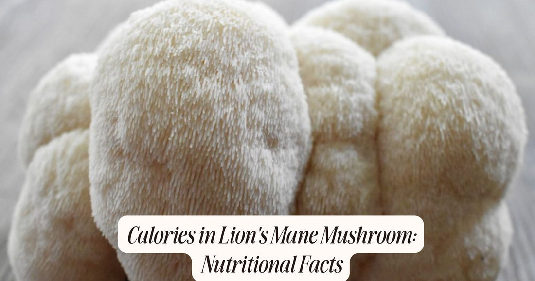 calories in lion's mane mushroom