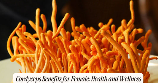 cordyceps benefits for female