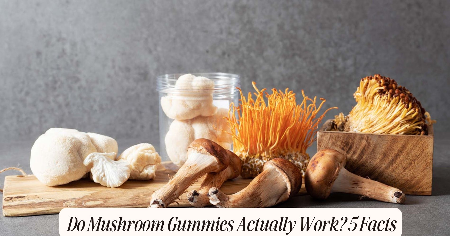 do mushroom gummies actually work