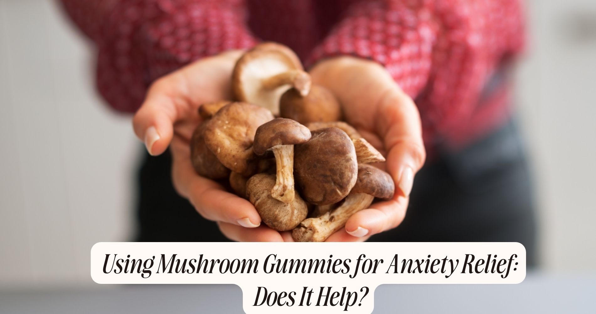 mushroom gummies for anxiety