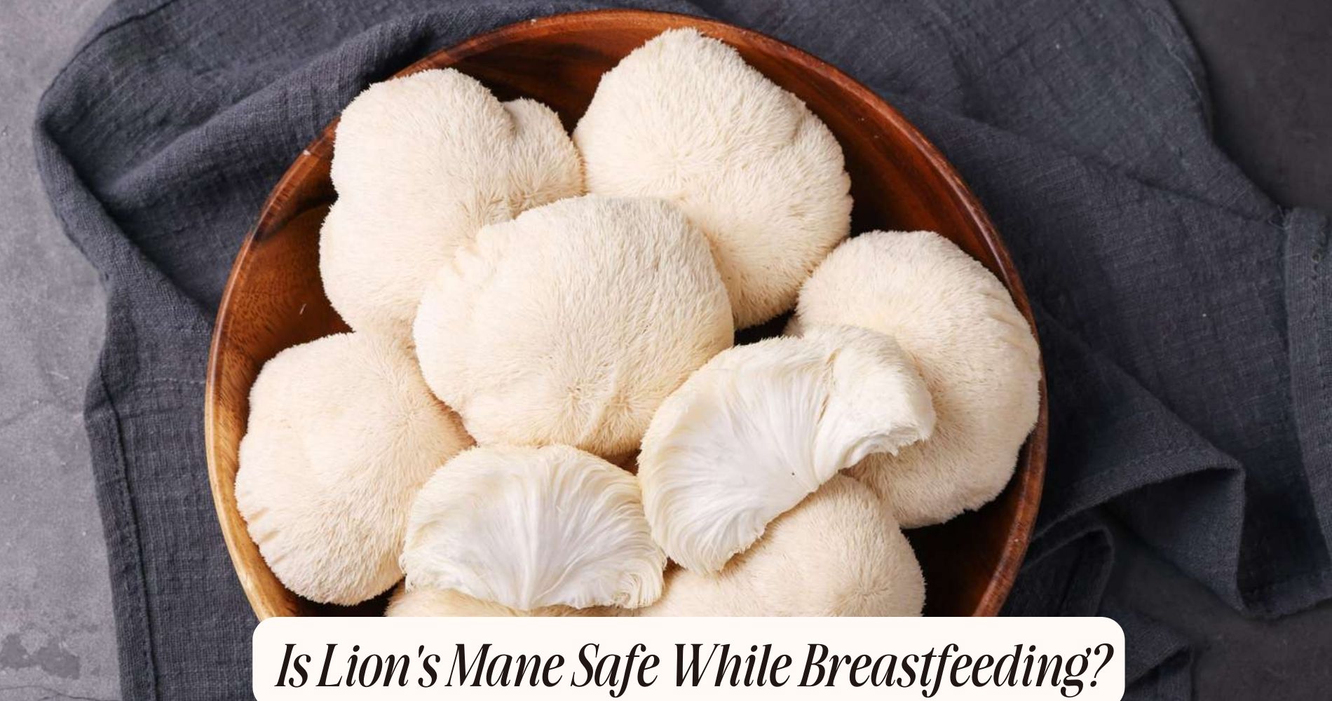 is lion's mane safe while breastfeeding