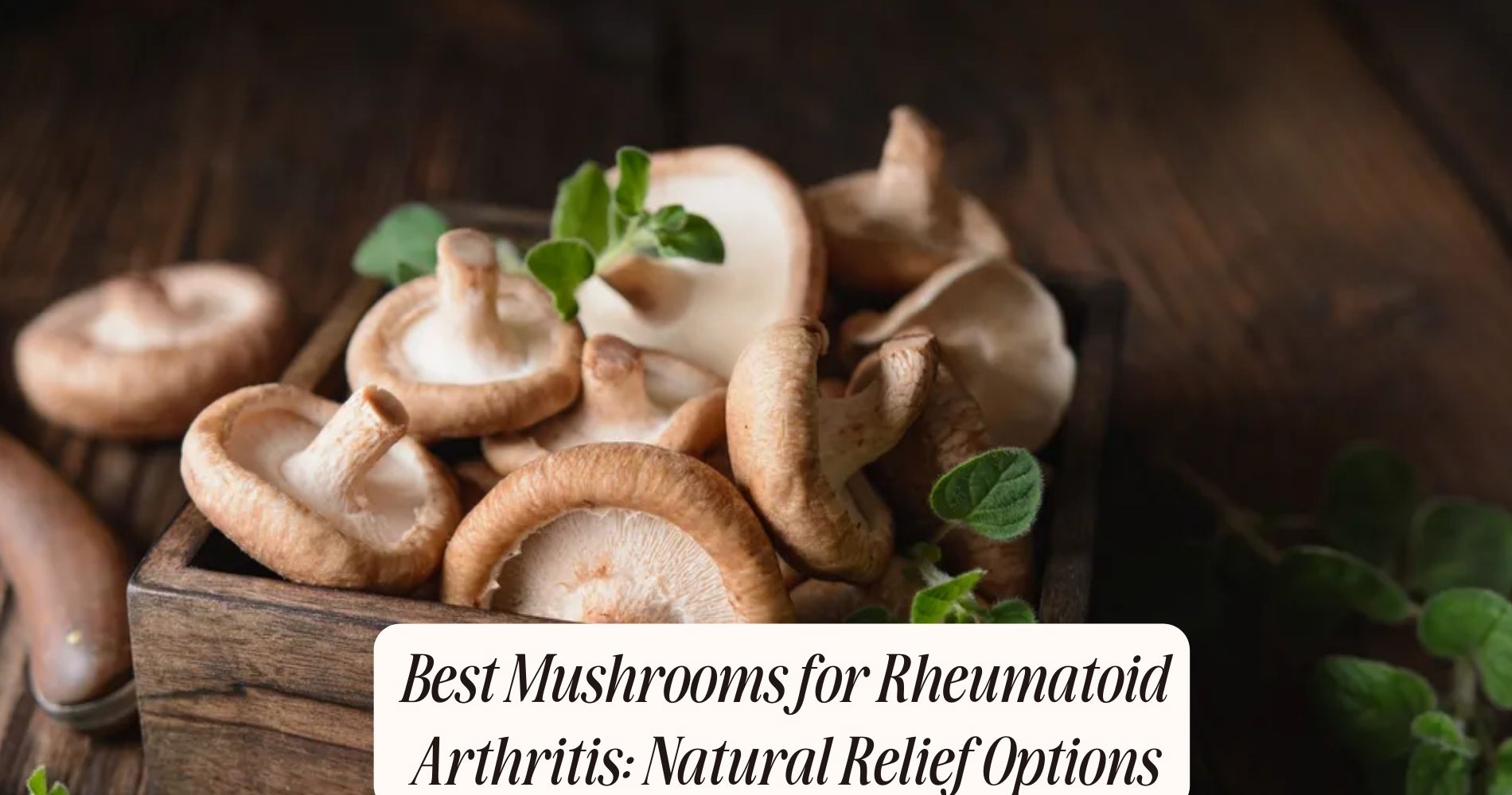 best mushrooms for rheumatoid arthritis