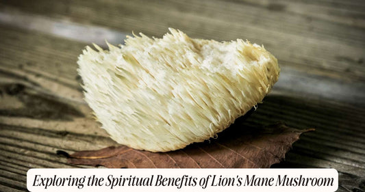 lion's mane spiritual benefits