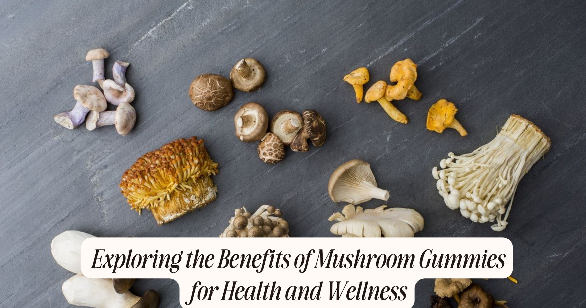 benefits of mushroom gummies