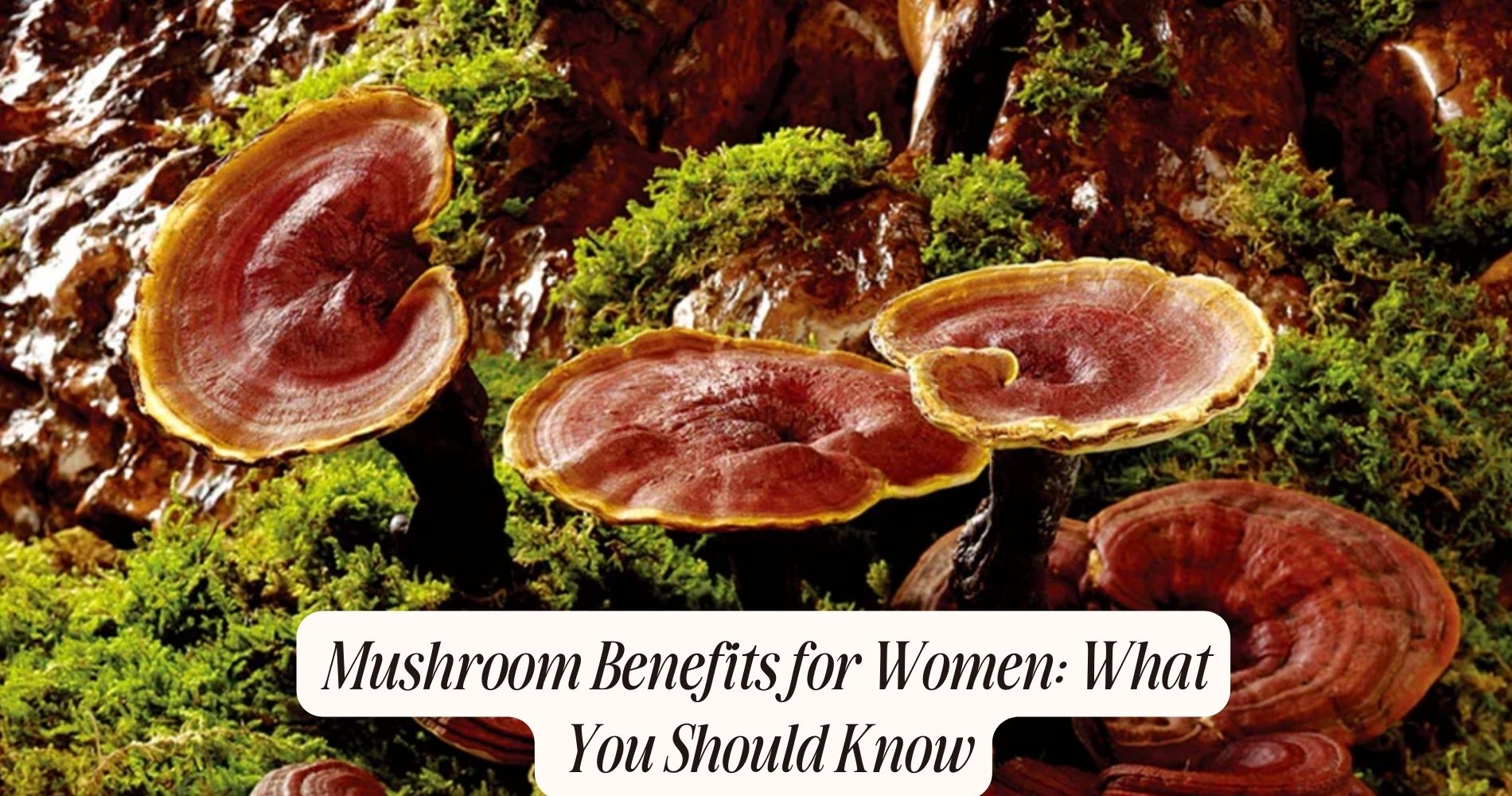 mushroom benefits for women