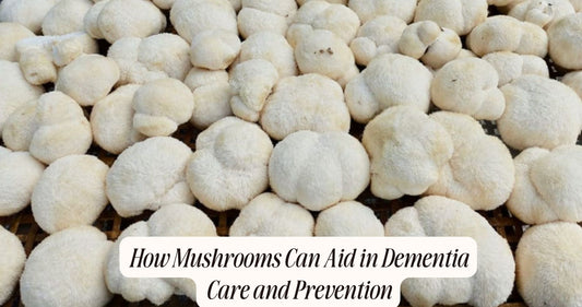 mushrooms for dementia