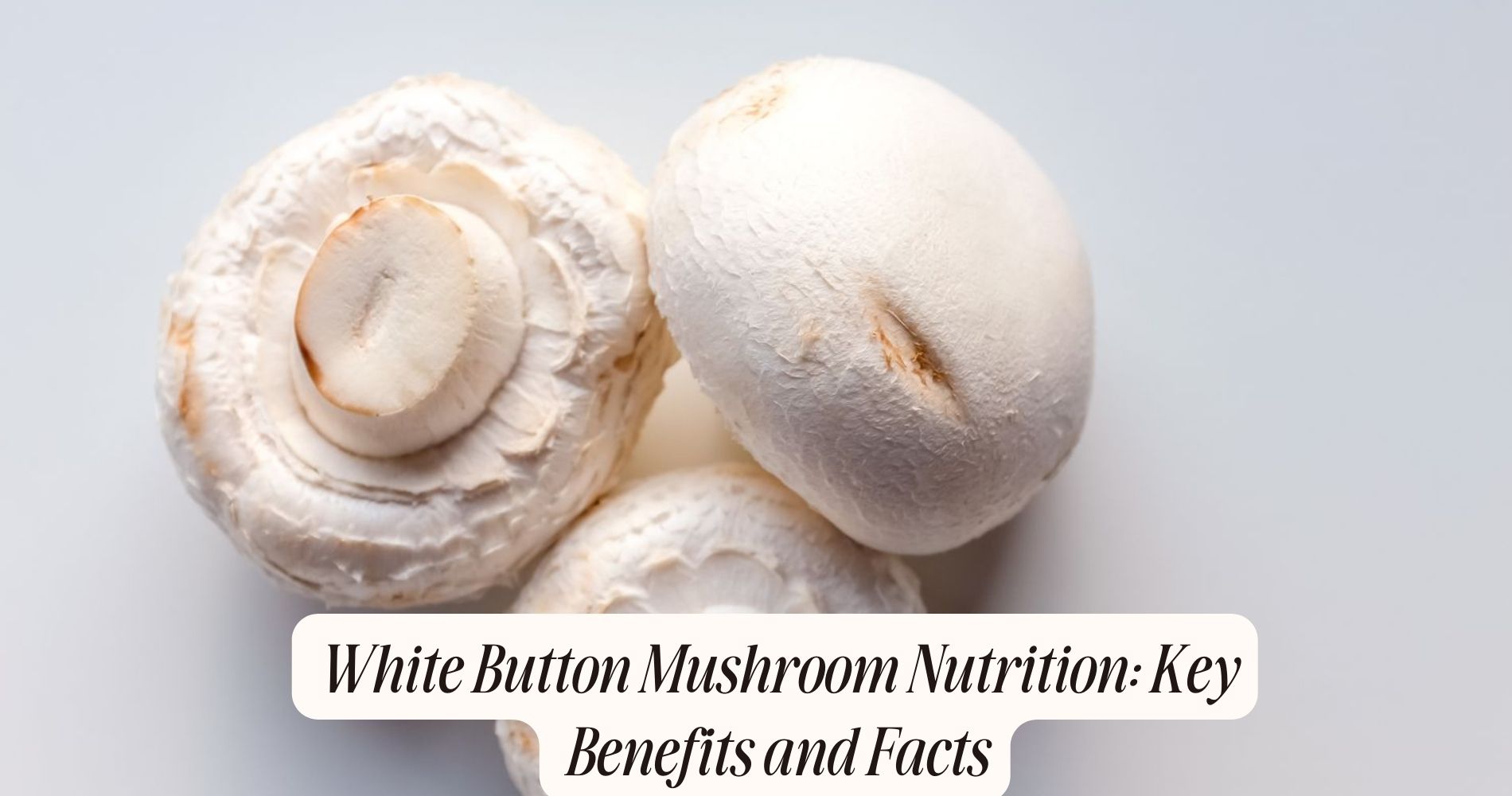 white button mushroom nutrition