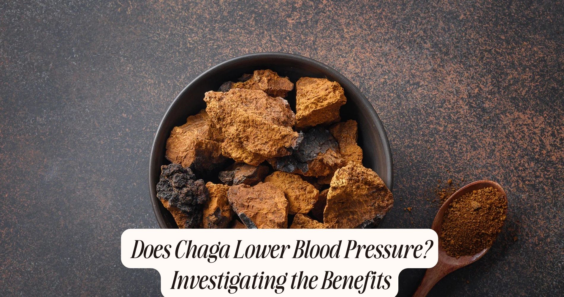 does chaga lower blood pressure
