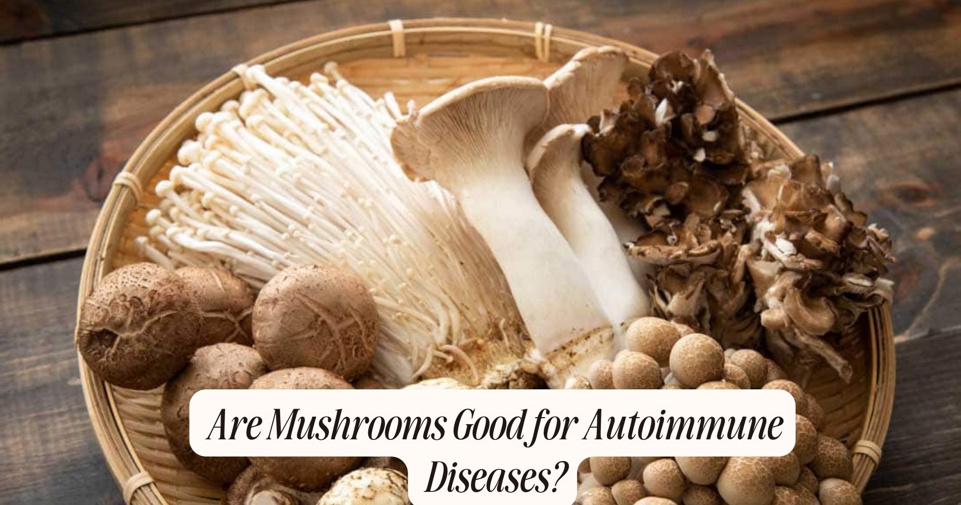 are mushrooms good for autoimmune disease