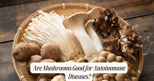 are mushrooms good for autoimmune disease