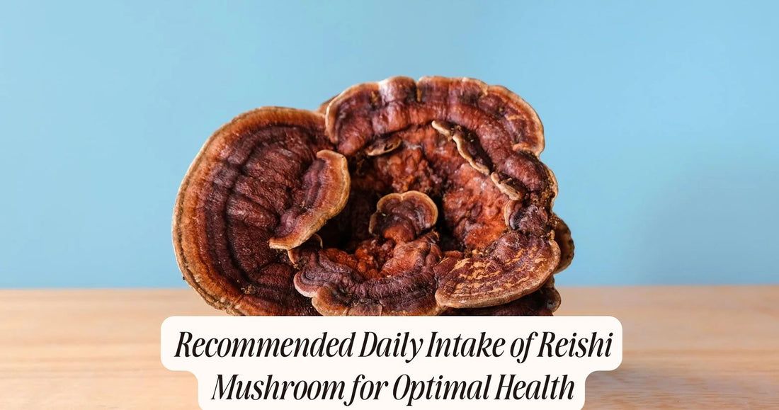 how much reishi mushroom per day