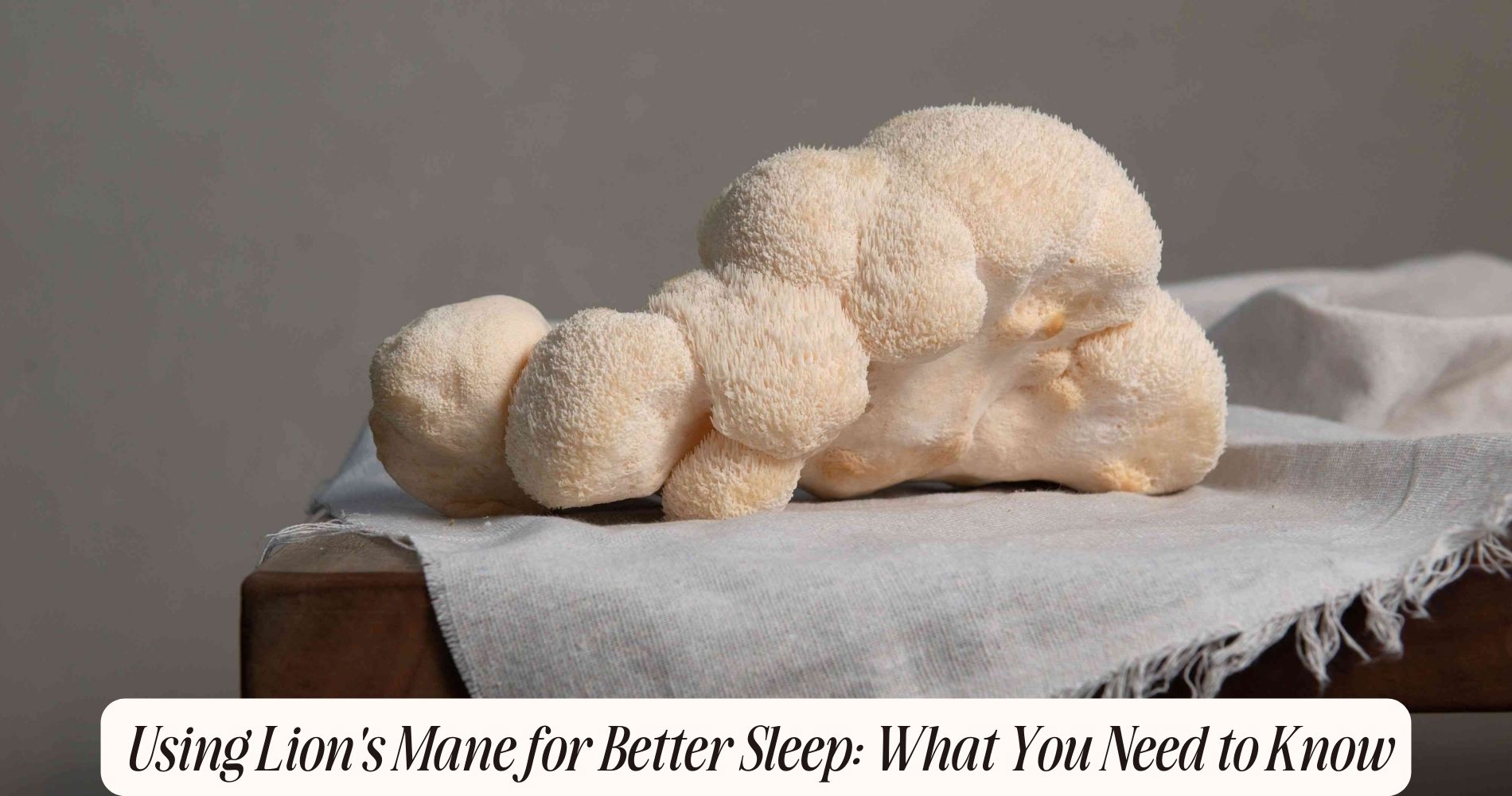 lion's mane for sleep