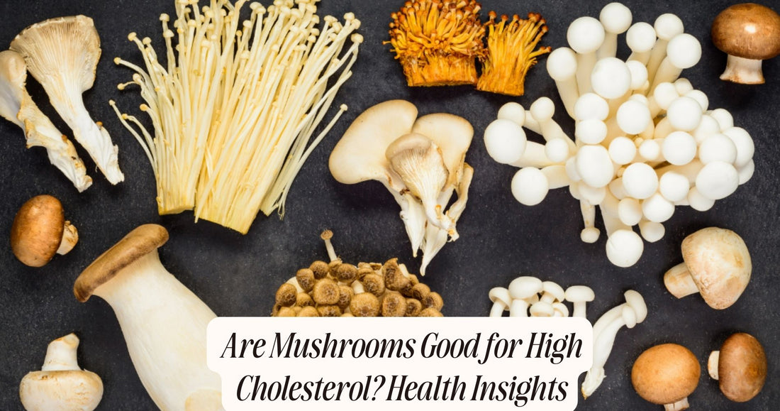 are mushrooms good for high cholesterol