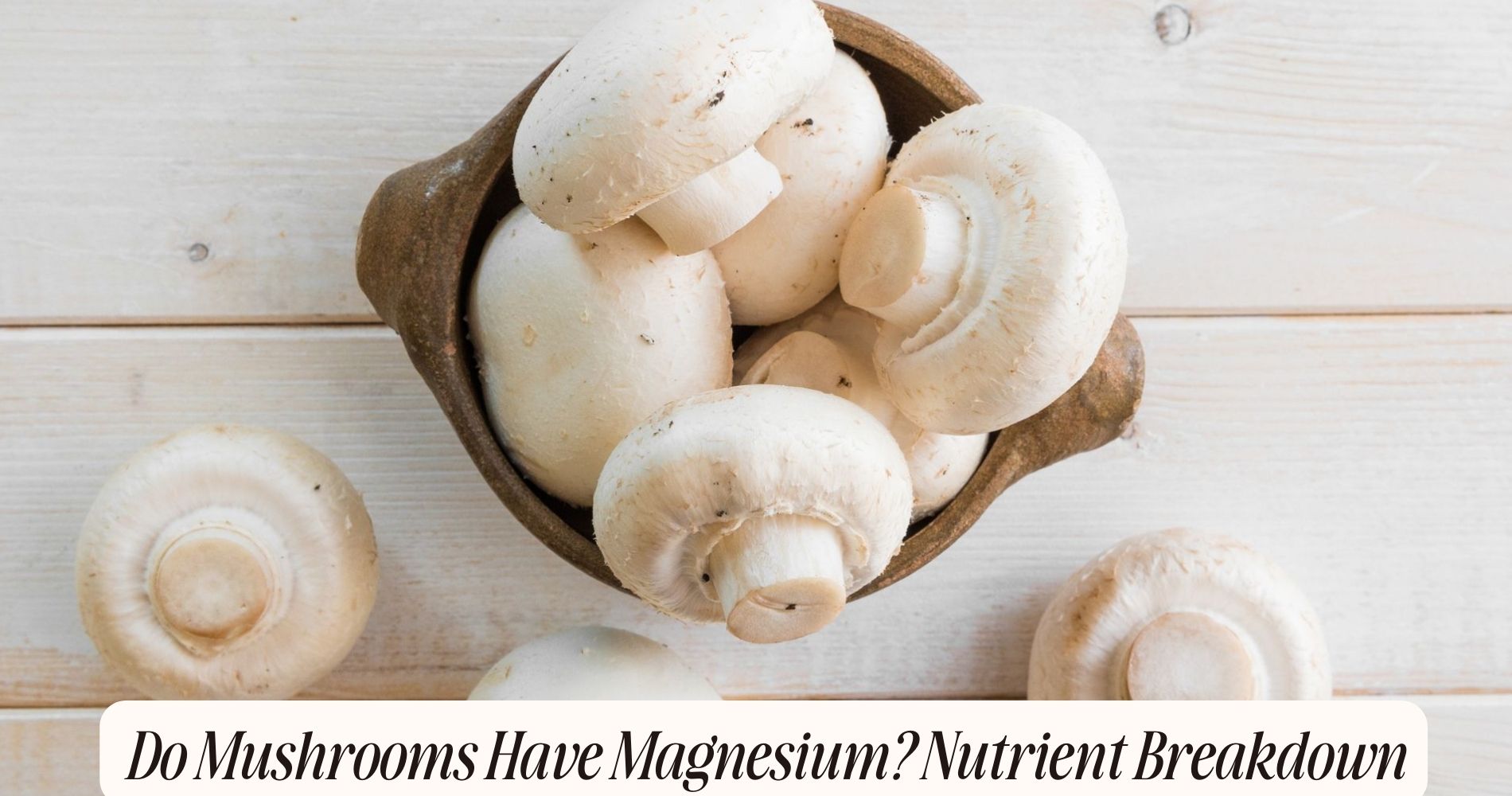 do mushrooms have magnesium