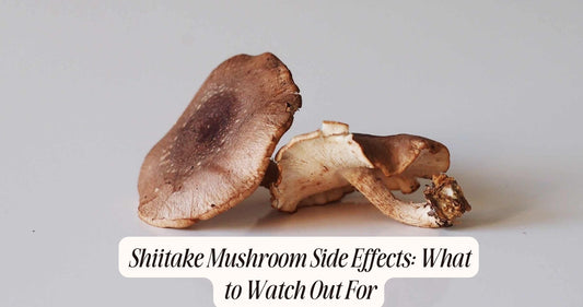 shiitake mushroom side effects