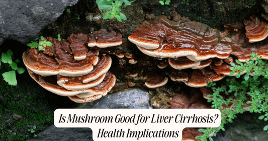 is mushroom good for liver cirrhosis