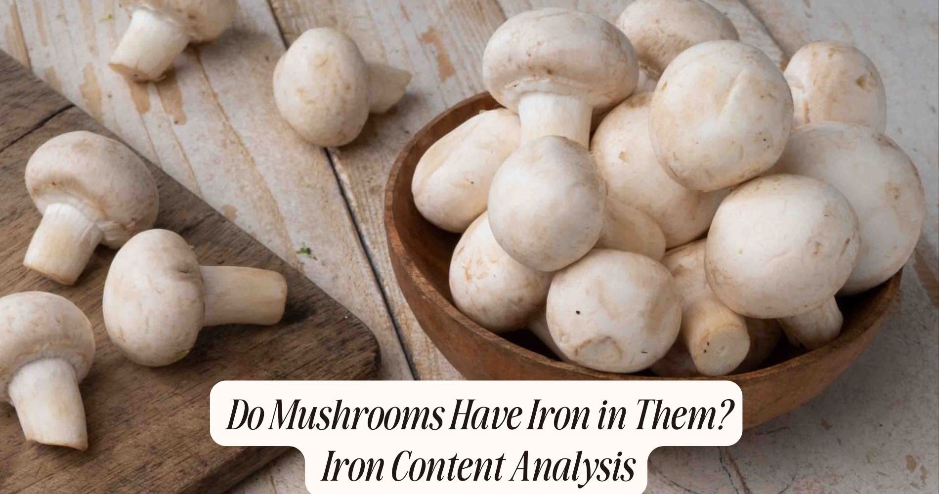 do mushrooms have iron in them