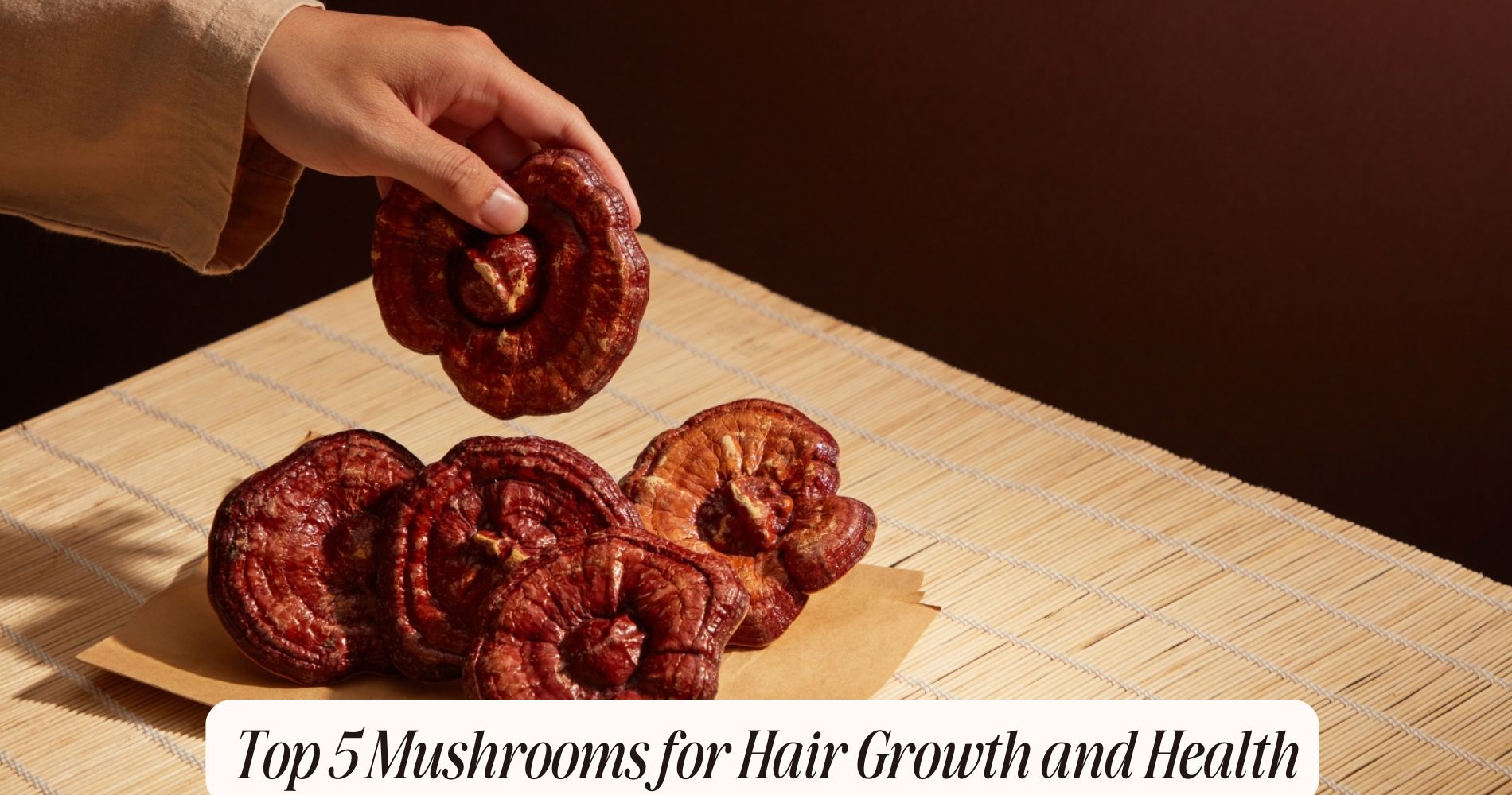 mushrooms for hair growth