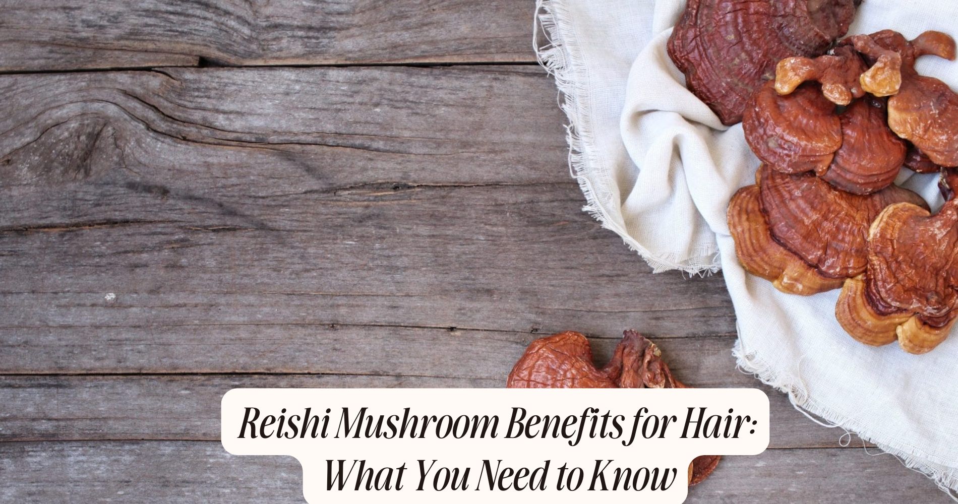 reishi mushroom benefits for hair