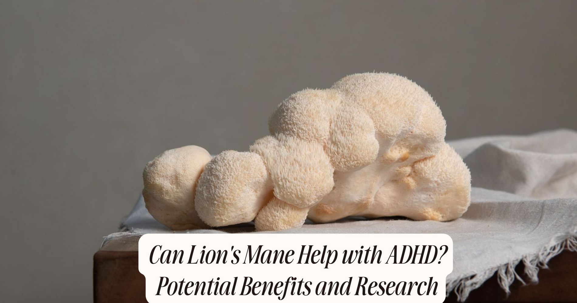 can lion's mane help with adhd