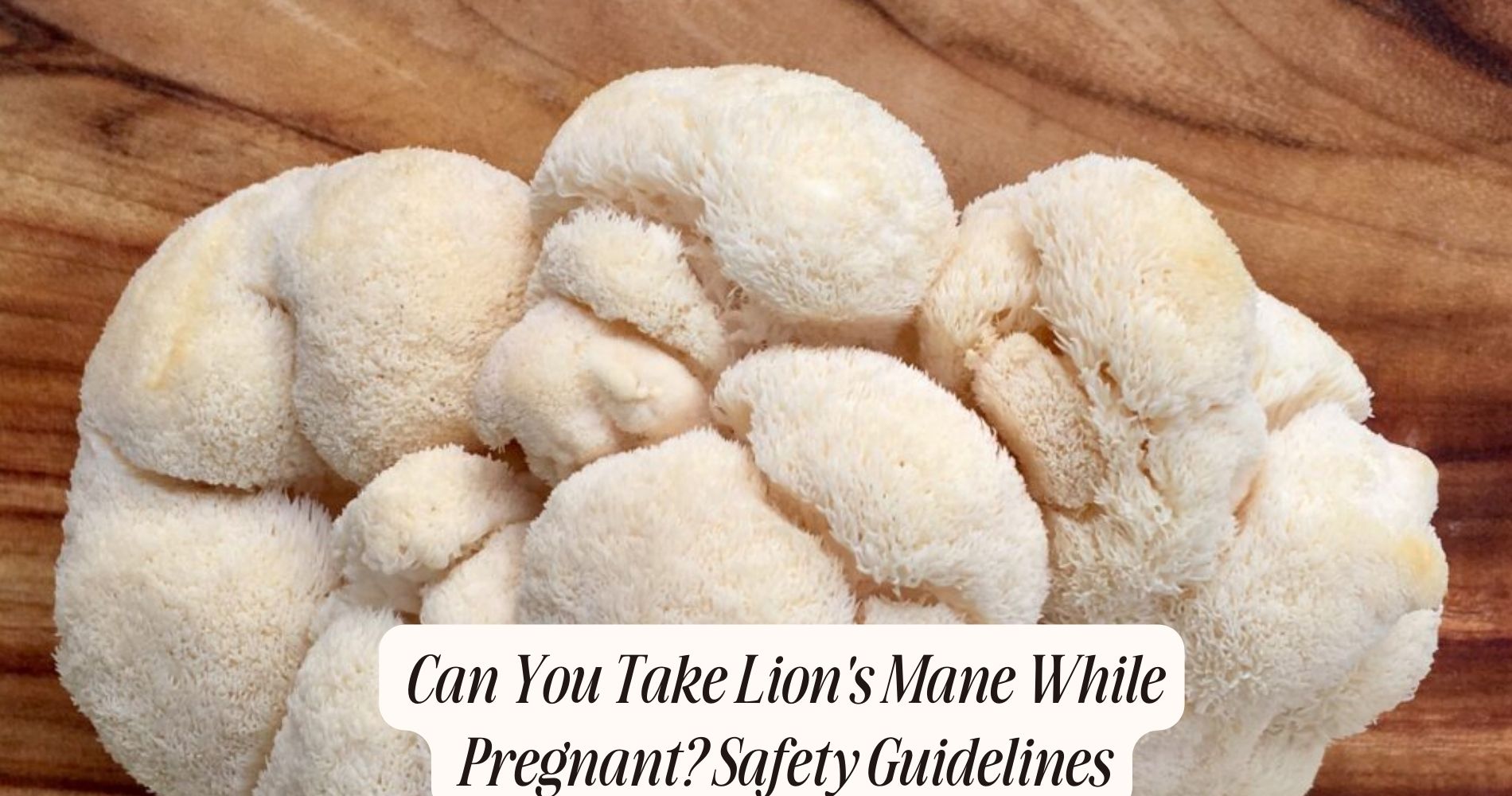 can you take lion's mane while pregnant