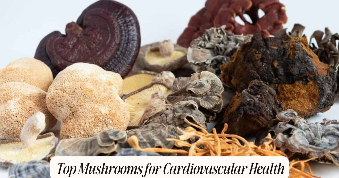 best mushroom for heart health