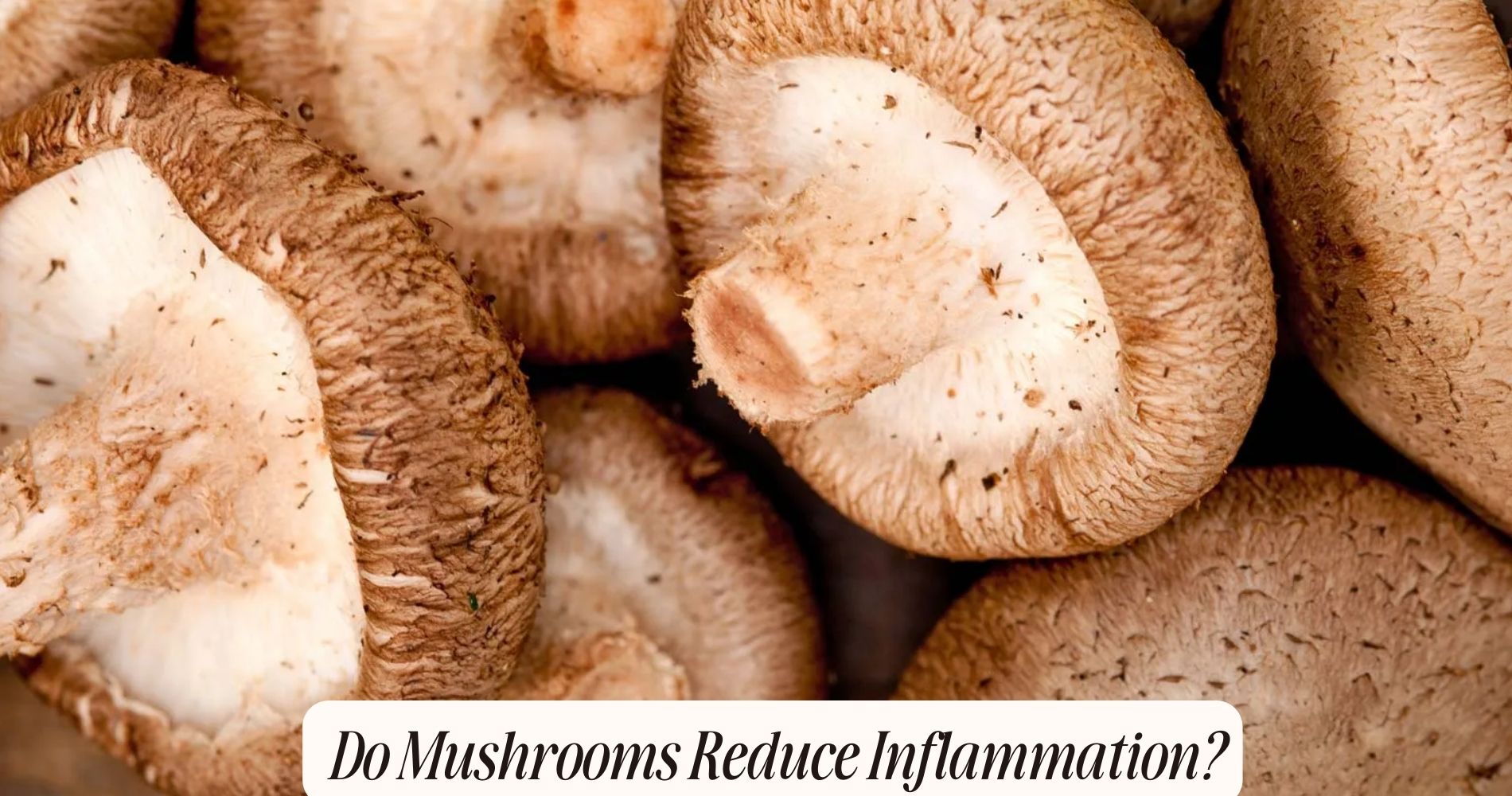 do mushrooms reduce inflammation