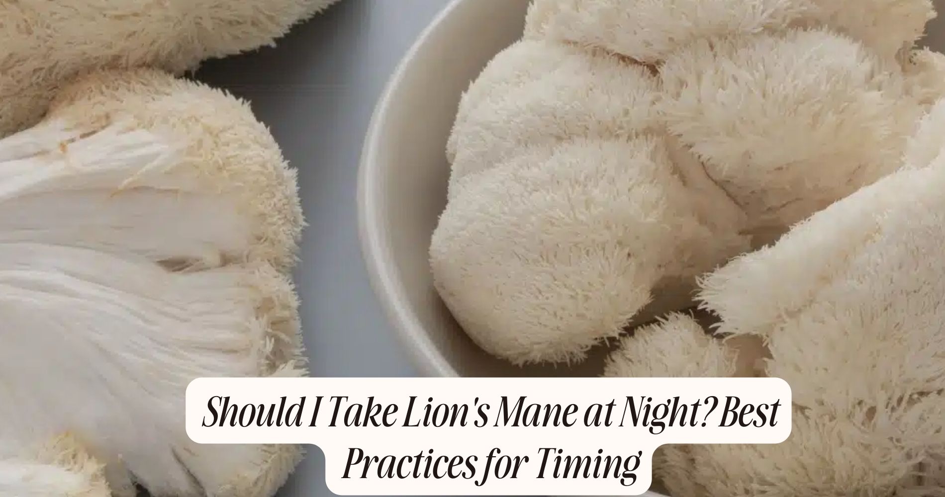 should i take lion's mane at night