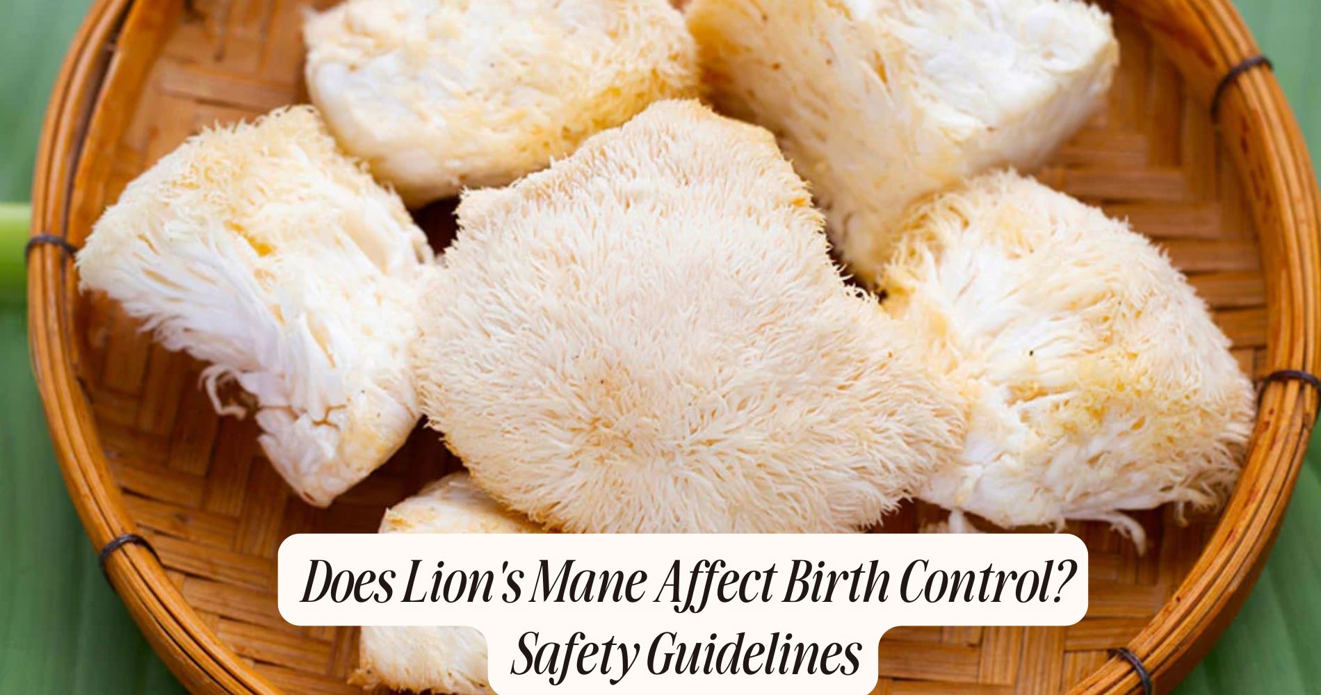 does lion's mane affect birth control